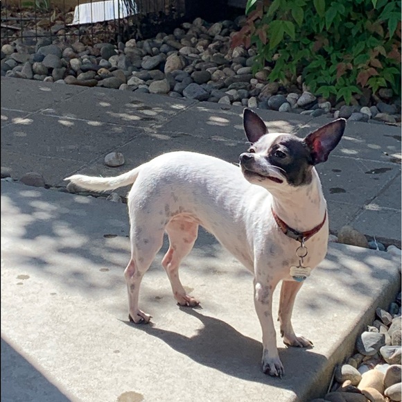 Meet your Posher, Thomas - Picture 14 of 16